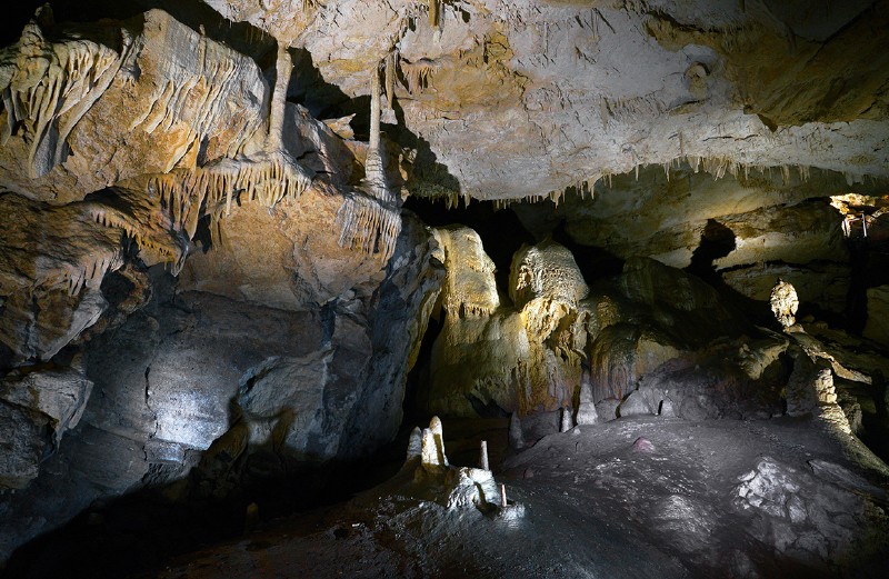 THE CAVES